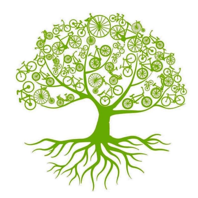 Physis Ciclovida logo